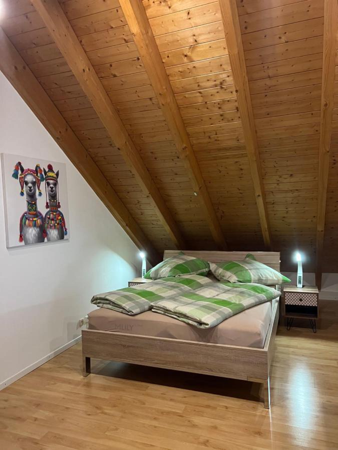 Ferienwohnung Zentral In Loerrach - Konus Gaestekarte Inklusive Ngoại thất bức ảnh